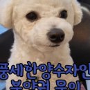 원피스부동산공인중개사사무소 이미지