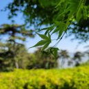 광성보주차장 이미지