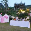 어반크루즈 이미지