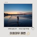 이호테우 비치해변 | 제주공항 근처 아이랑 가볼만한곳 이호테우해변 제주 오션패밀리호텔 숙박후기