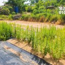 여차리농장 이미지