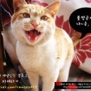 부부실내포장마차 이미지