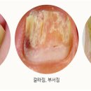 다나연세의원 이미지