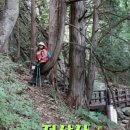 치목할머니경로당 이미지