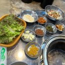돗배갈매기 이미지