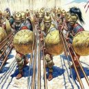 창의의 숲 이미지