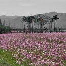 장기리마을회관 이미지