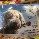 봉자PC 이미지