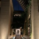[칸쿤/스칼렛아르떼] 칸쿤 스칼렛 아르떼 메르카도 산후안 디너 후기 "Mercado de San Juan"