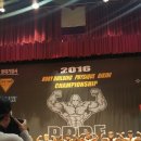 팀비식스 이미지