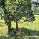 성모청약국 | 아.. 갔구나.. 5월.. 아.. 갔구나.. 행복했던 시간.. 아ㅋㅋ 왔구나 6월ㅋㅋ 아ㅋㅋ 왔구나 시험기간...