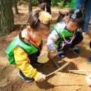 모라산림공원 이미지