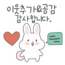 보름 베이커리 이미지