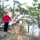 오산농장2 이미지