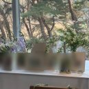 미래장식 - 성남시 중원구 광명로361번길 11 | W3. 부산 가족식 웨딩 준비, 레스피로 꽃장식 돌스데이 예약 후기 (내돈내산)