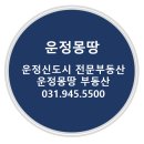 운정몽땅부동산공인중개사사무소 이미지