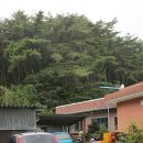 운수민박 이미지