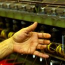 아브라함 목장 이미지