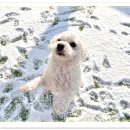 아이조아 요양보호소 경기광주 이미지