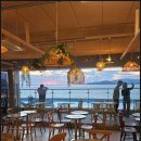 본초마을(댕댕이맘) | 댕댕이랑 꼭 가고싶은 인천 월미도 애견동반 카페 아르토스 희망파티