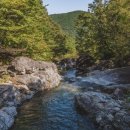 목면시배유지 이미지