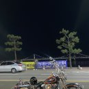 할리 헤리티지 스프링거 에보 판매합니다 이미지