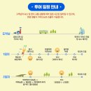 코타 키나발루 가이드맨 이미지