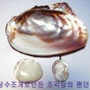 진주 - 여수시 시청동3길 12-16 | 진주