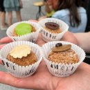 BAOBEI(바오베이) 이미지