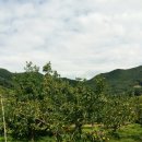 시목농장 이미지