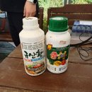 호야2농장 이미지