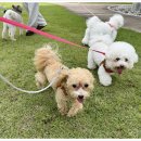 멍아지트 이미지