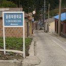 울릉북중학교 이미지