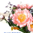 황등제일아파트 이미지