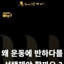 운동에반하다 이미지