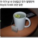 애플김밥 이미지