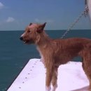 천둥공인중개사사무소 이미지