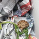 파우 동물병원 이미지