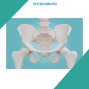 이메디정형외과의원 이미지