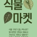 아리마켓 이미지