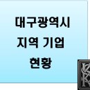 [공공데이터] 대구광역시 지역 기업