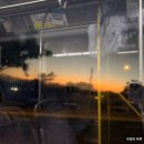 다이아몬드짐 | 하와이 <다이아몬드 헤드> 예약방법, 트래킹 및 일출 후기