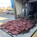 고상주유소 이미지