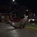 바다랑육지랑 이미지