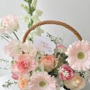 온화앤유 이미지