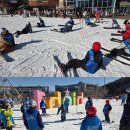 챔피언태권스쿨 이미지