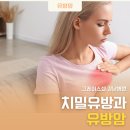 그레이스셀강남병원 이미지