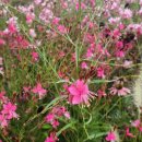 장춘오헌 이미지