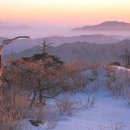 양재역 11번출구 옆 이미지