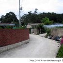 양지편길 이미지